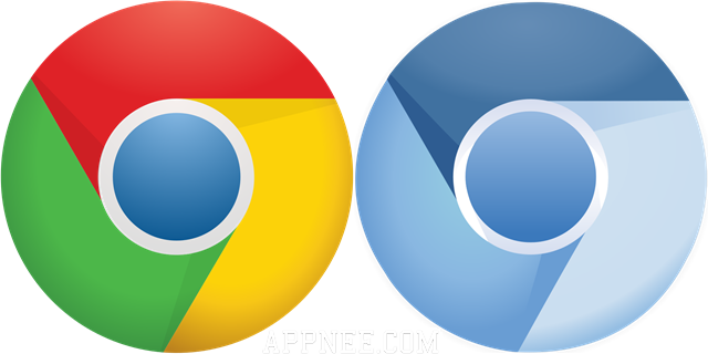 chrome portable download