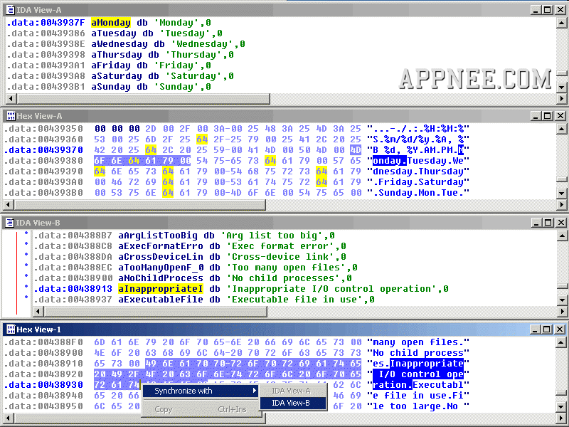 Using Ida Pro To Crack Someone Up