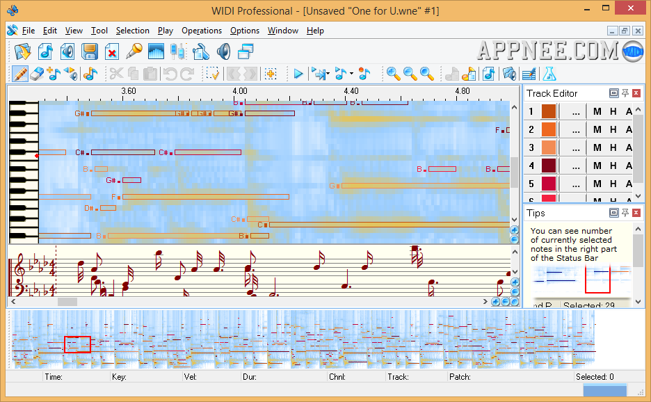 Free Widi Recognition System Professional To Download At