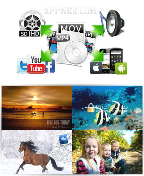 aoao video watermark pro 5.1