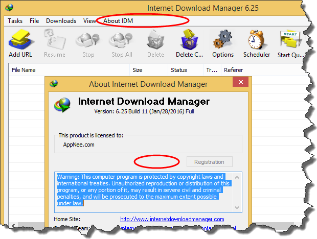 Tiny download manager