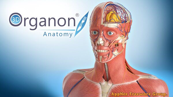 human anatomy atlas for windows desktop