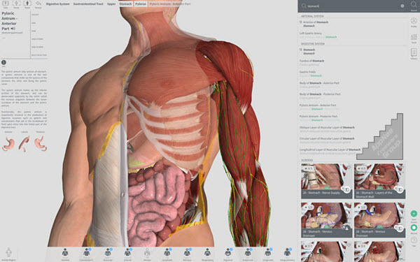 Complete Anatomy App Download