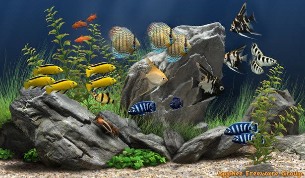 dream aquarium free full version