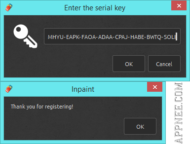 official inpaint serial key