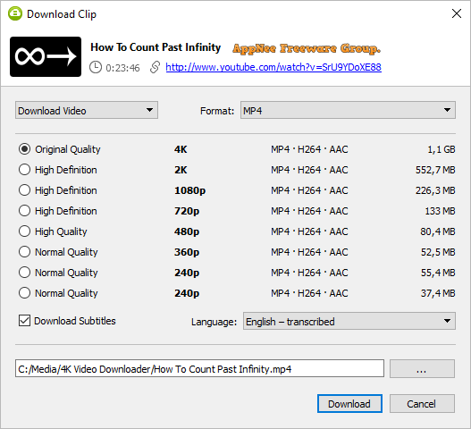 subtitles 4k video downloader