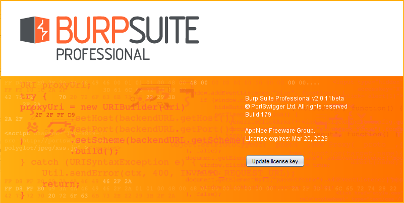 burp suite test website