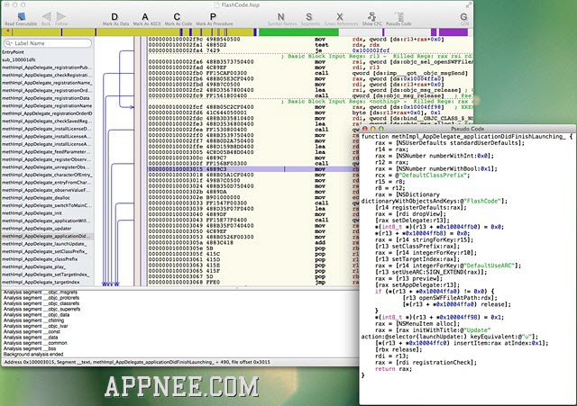 hopper disassembler read memory