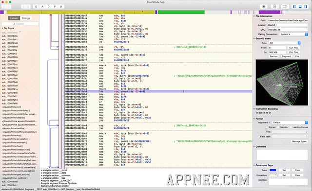 hopper disassembler for dynamic analysis