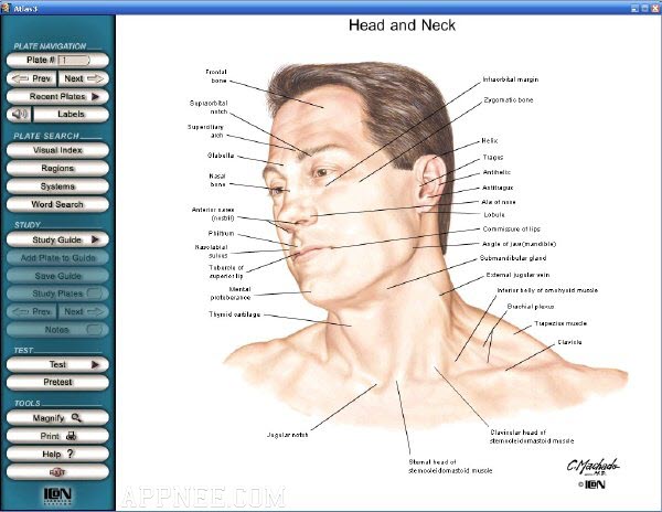 human anatomy atlas for windows desktop torrent