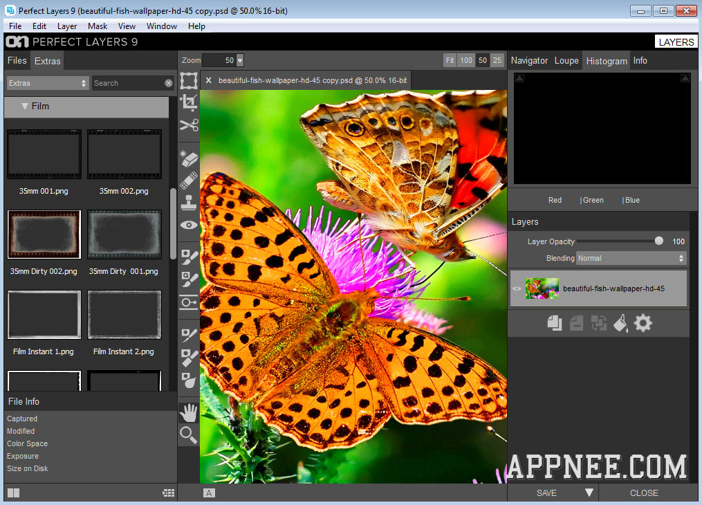 adobe photoshop elements 5.0 will not open