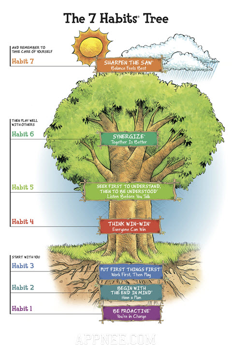 seven habits of highly effective people diagrams